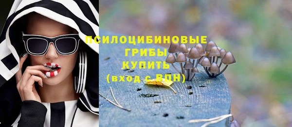 a pvp Алексеевка